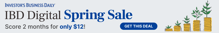 IBD Digital Spring sale