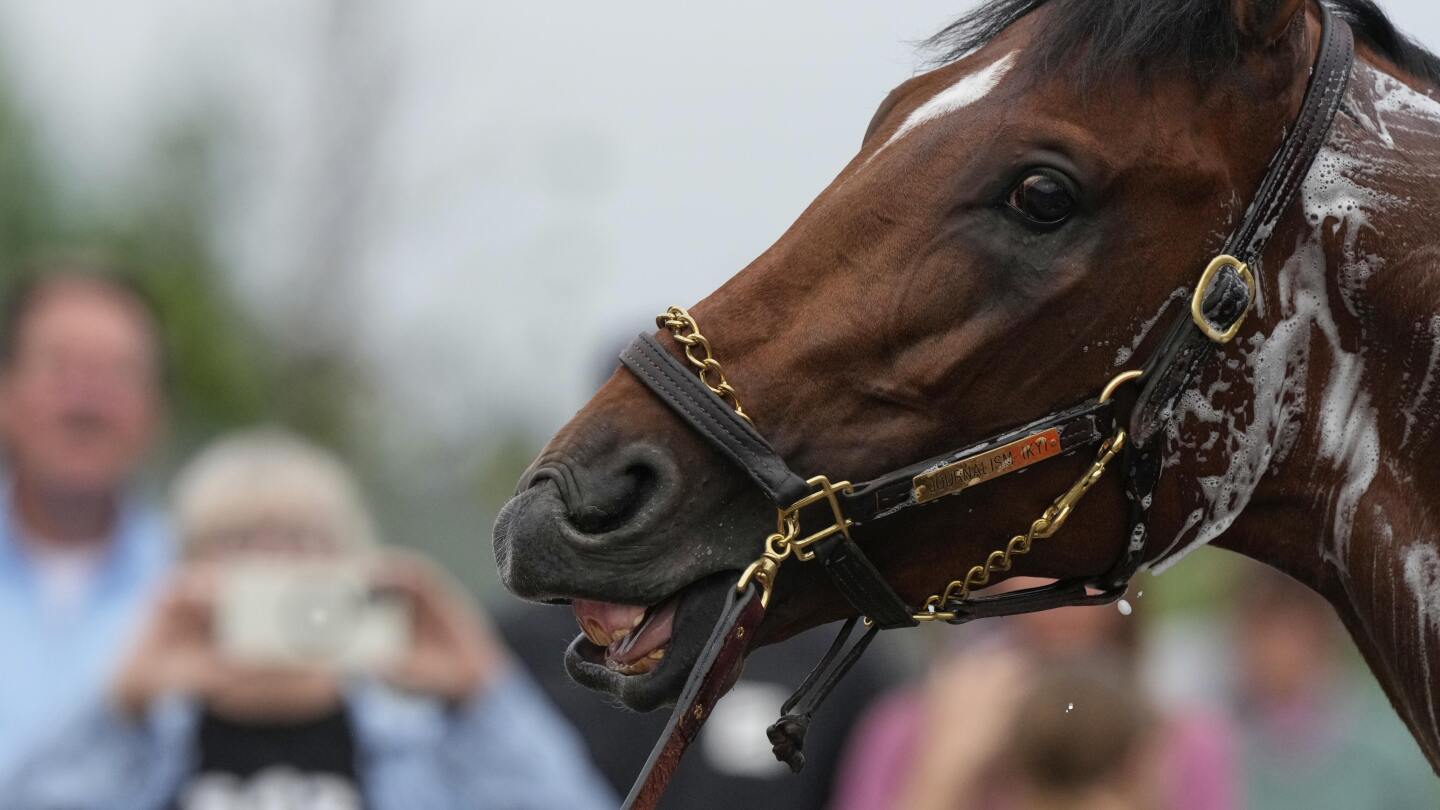 the-151st-kentucky-derby-could-be-a-mudder’s-delight-with-rain-in-the-forecast