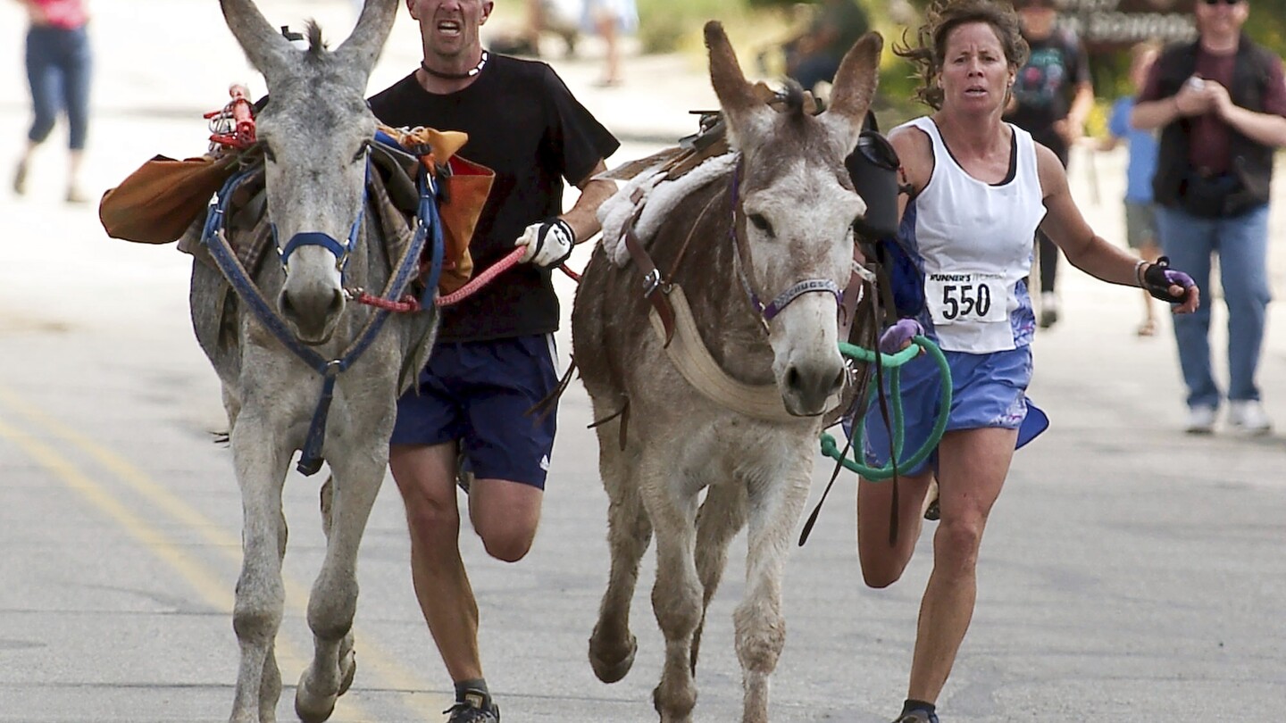 backcountry-runners-embrace-the-thrill-of-racing-with-burros-in-new-mexico