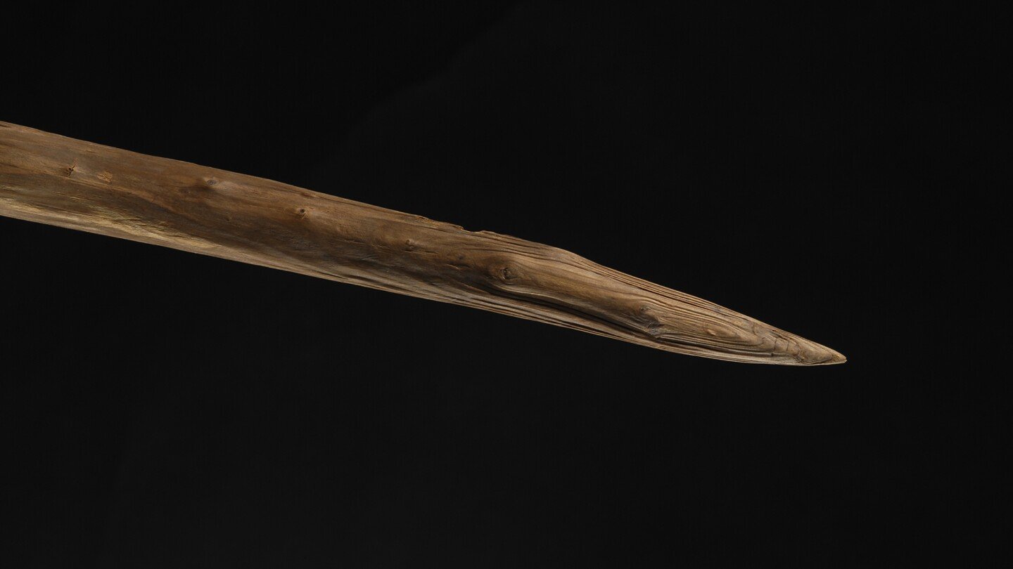 ancient-wooden-spears-found-in-germany-may-have-been-wielded-by-neanderthals,-a-new-study-suggests