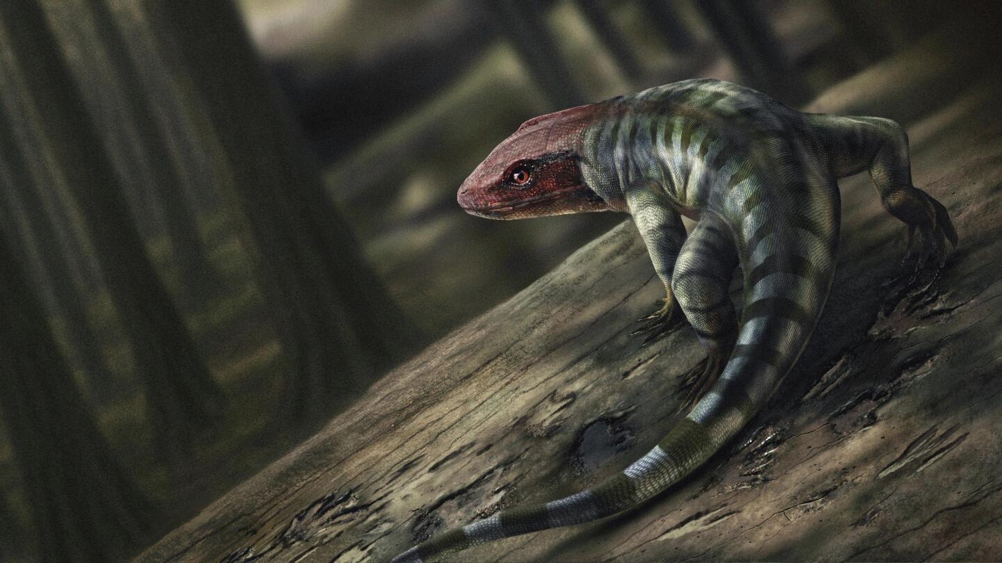 how-ancient-reptile-footprints-are-rewriting-the-history-of-when-animals-evolved-to-live-on-land