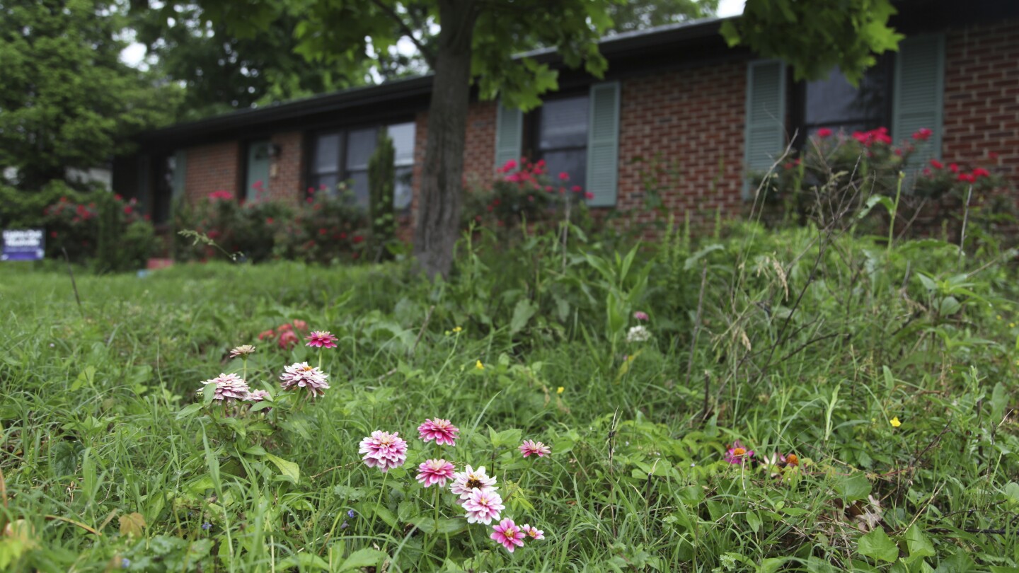 bored-with-manicured-lawns,-some-homeowners-adopt-no-mow-may-all-year-long