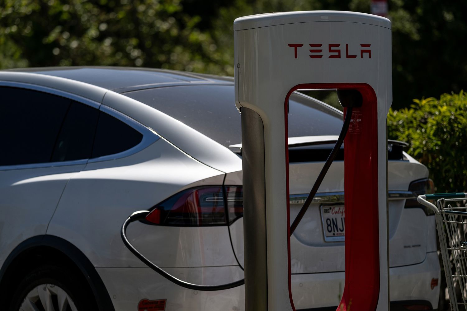 why-wedbush-is-back-among-the-street’s-top-tesla-stock-bulls
