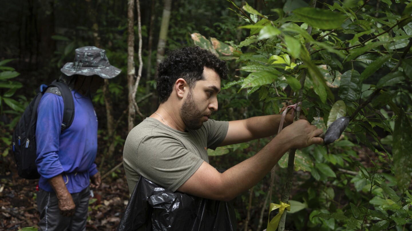 what-would-happen-if-the-amazon-rainforest-dried-out?-this-decades-long-experiment-has-some-answers