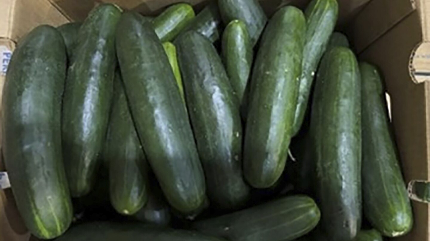 dozens-sickened-in-expanding-salmonella-outbreak-linked-to-recalled-cucumbers