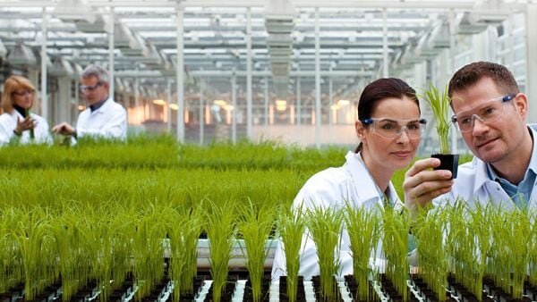 Stock Market Today: Bayer CropScience shares skyrocket