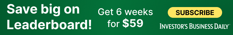 Webinar offer