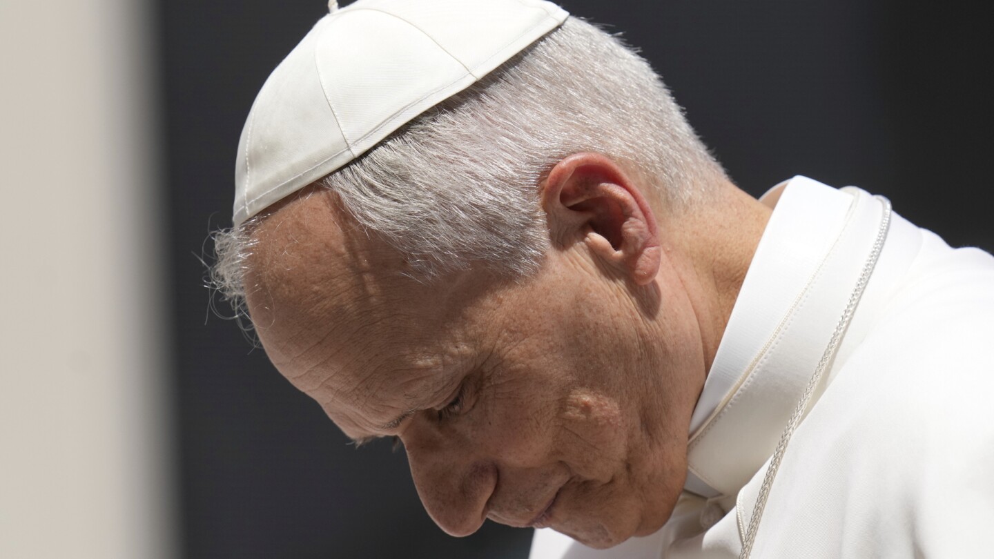 el-papa-leon-xiv-se-reune-con-la-comision-de-proteccion-infantil-del-vaticano