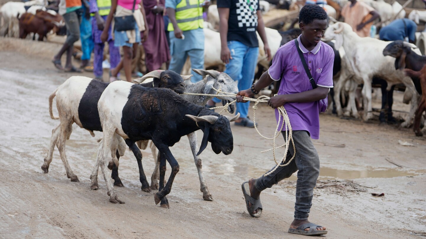 muslims-look-forward-to-the-annual-eid-feast.-many-africans-are-now-struggling-to-afford-it