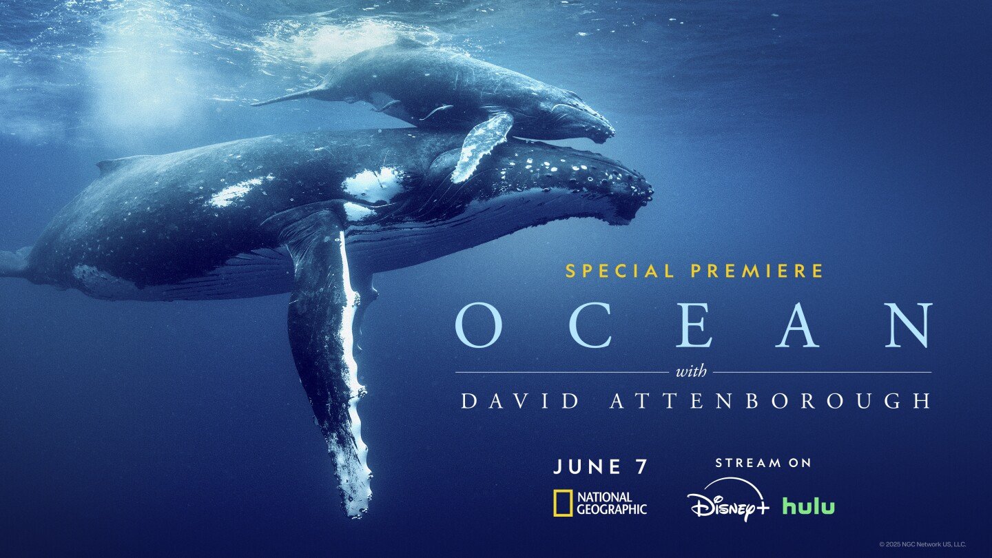 david-attenborough’s-‘ocean’-is-a-brutal,-beautiful-wakeup-call-from-the-sea