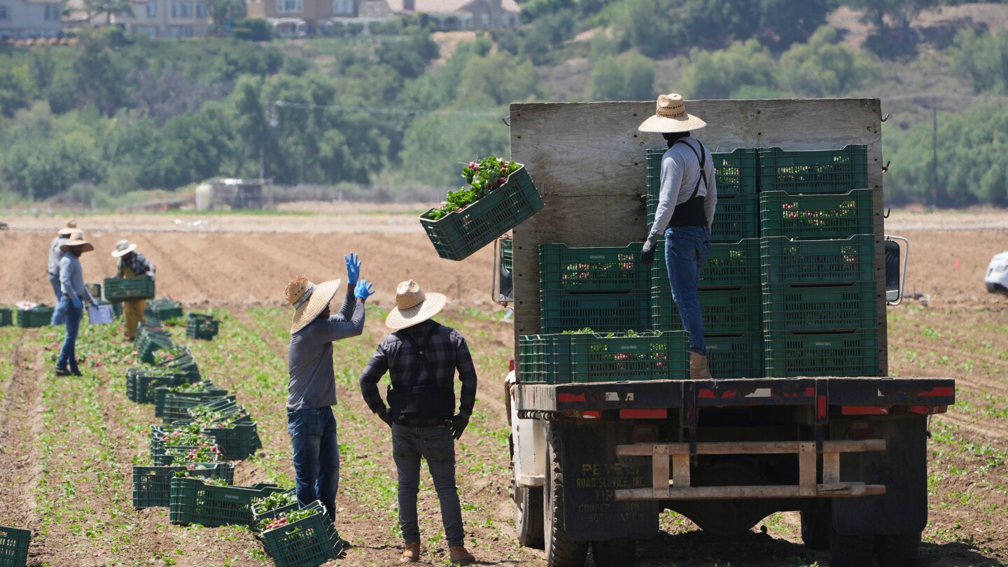 trump-curbs-immigration-enforcement-at-farms,-meatpacking-plants,-hotels-and-restaurants
