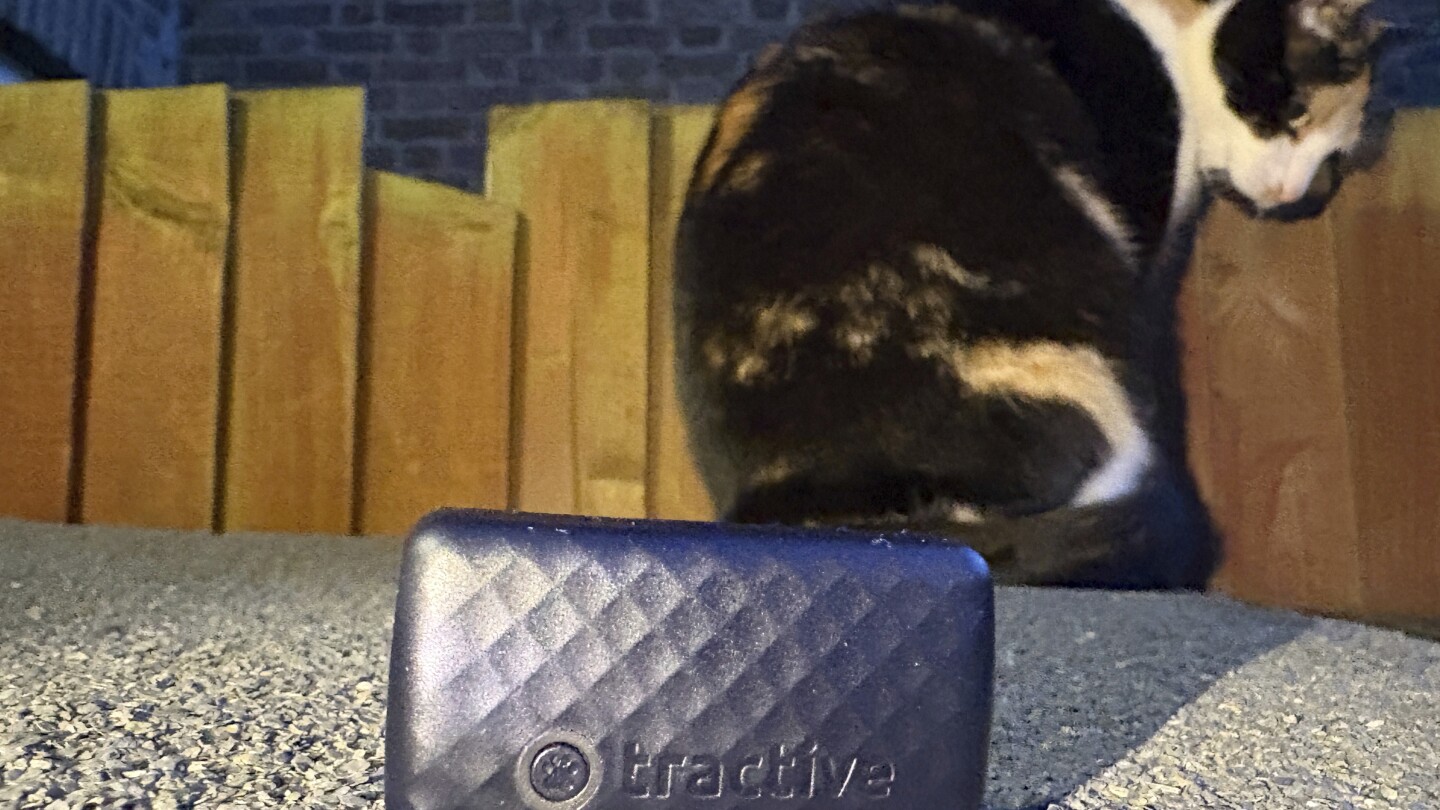 one-tech-tip:-no-more-lost-cats-and-dogs.-use-tech-to-track-your-pet