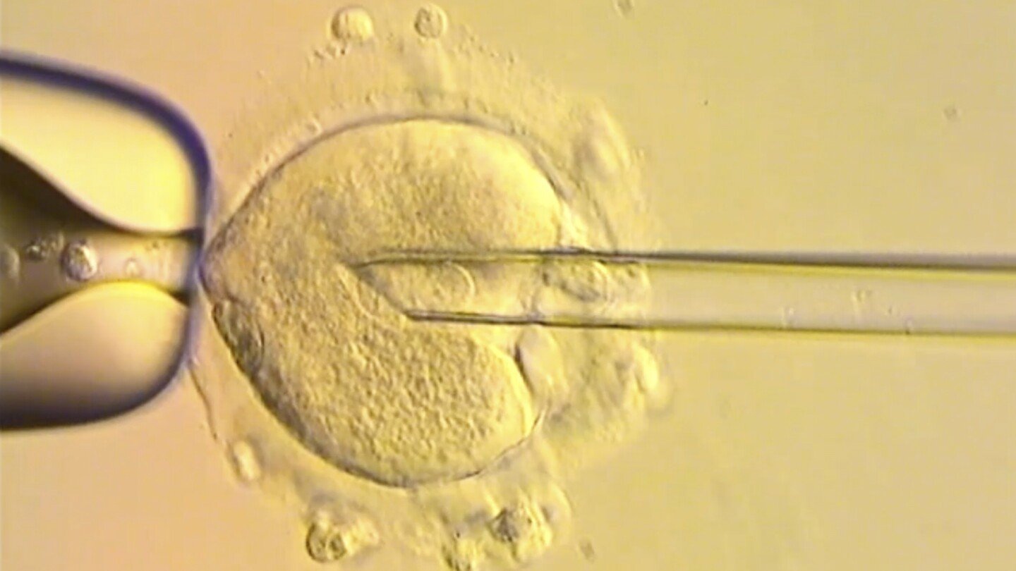 healthy-babies-born-in-britain-after-scientists-used-dna-from-three-people-to-avoid-genetic-disease