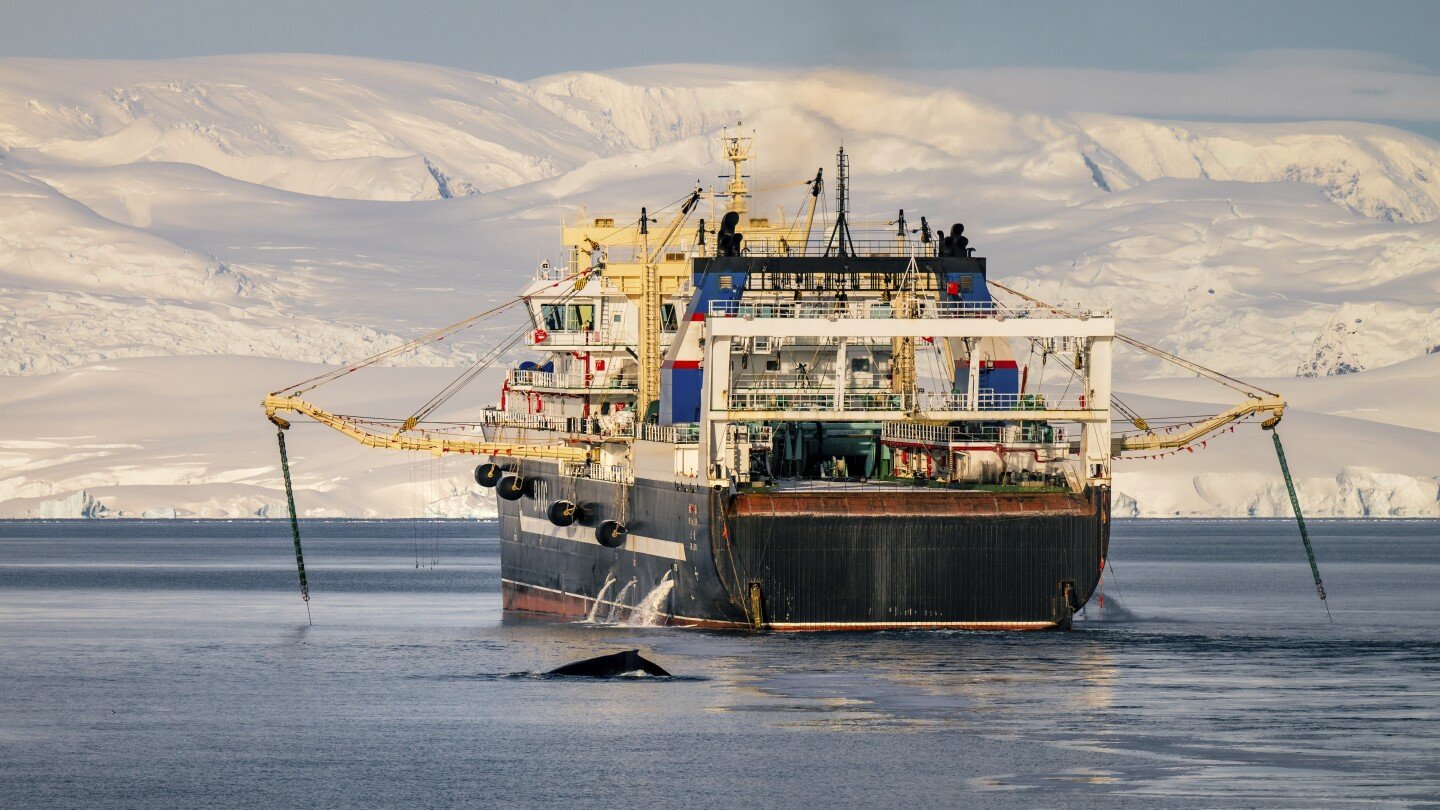krill-fishery-in-antarctica-shut-down-after-record-catch-triggers-unprecedented-early-closure