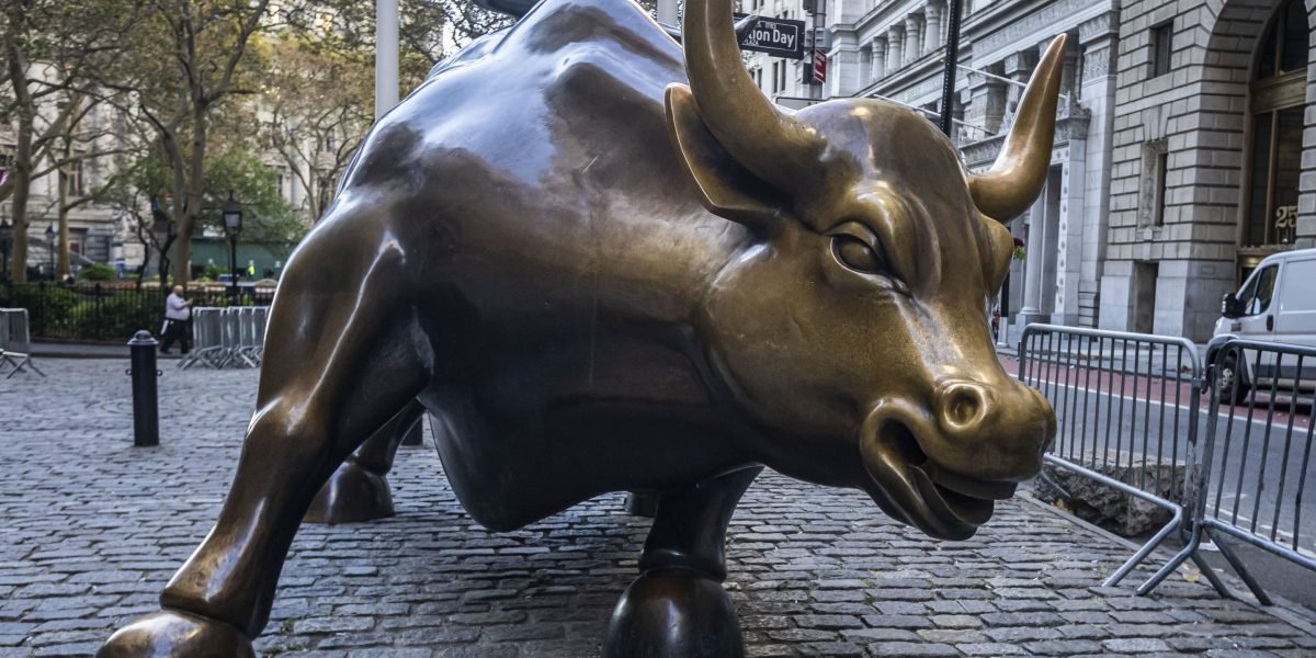 a-new-bull-market-has-begun-and-is-still-in-the-early-stages,-so-buy-the-dips,-top-wall-street-analyst-says