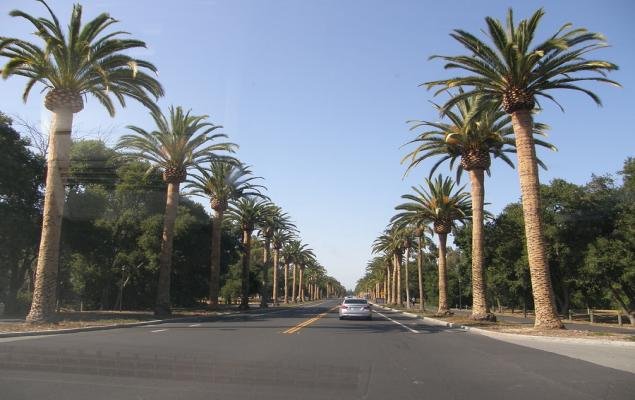 top-analyst-reports-for-merck,-palo-alto-&-freeport