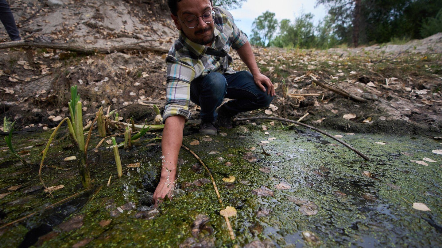 the-call-of-a-native-frog-is-heard-again-in-southern-california-thanks-to-help-from-mexico-and-ai