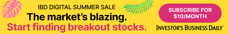 IBD Digital Summer Sale
