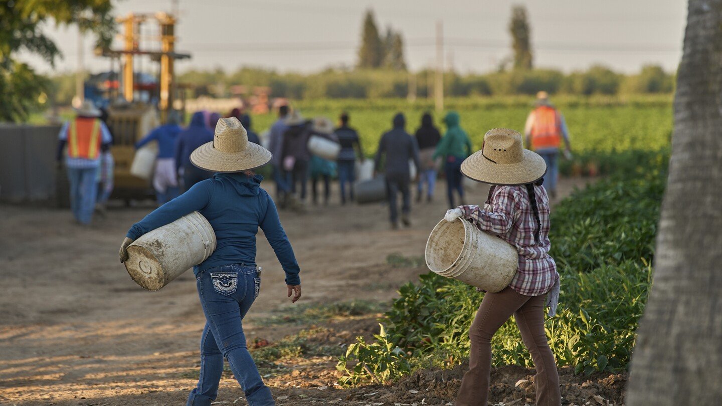 1.2m-immigrants-are-gone-from-the-us-labor-force-under-trump,-preliminary-data-shows