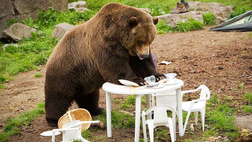 stock-market-today:-dow-loses-249-points;-nvidia-extends-a-streak-as-palantir-does-this-(live-coverage)