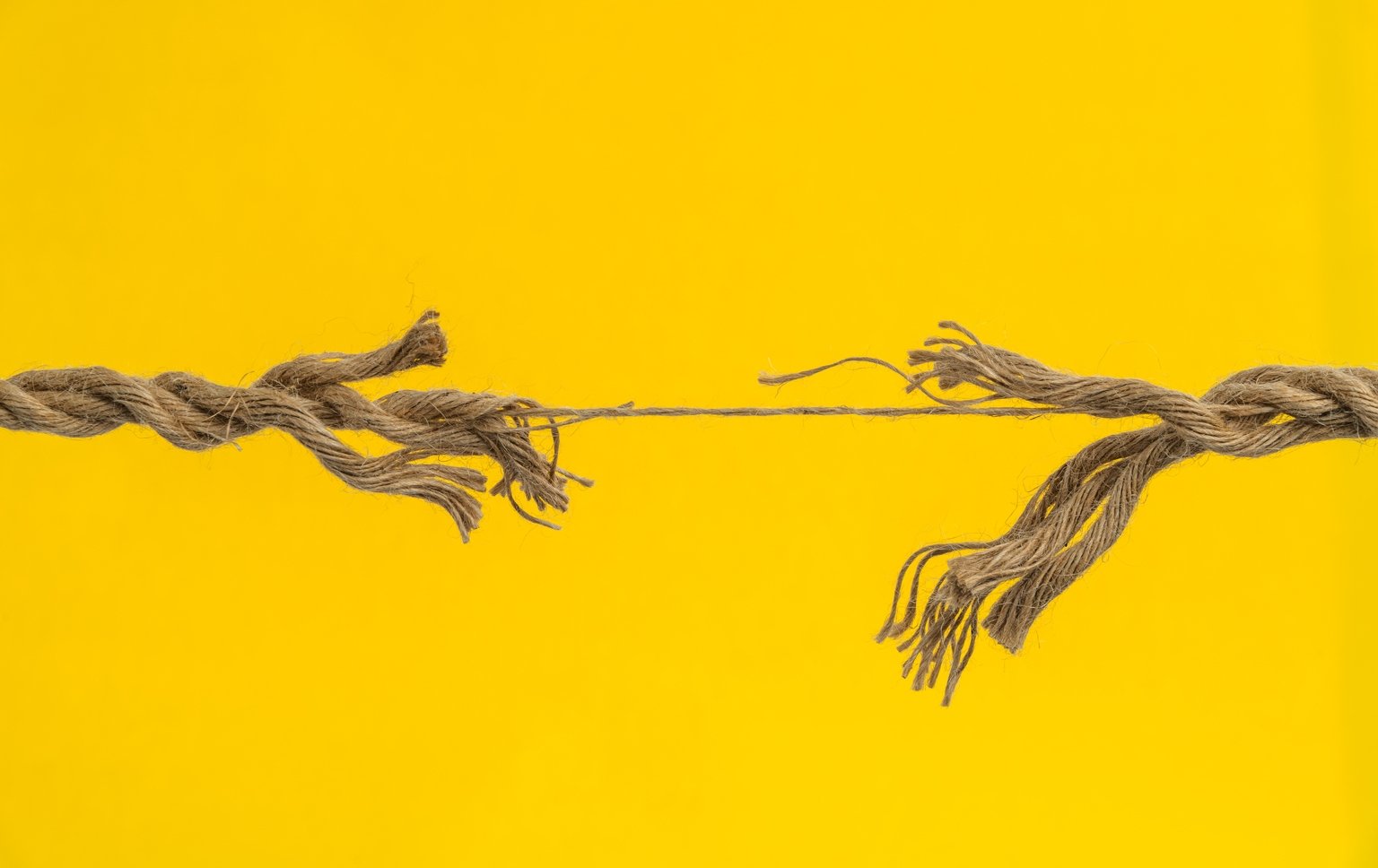 oh-boy,-the-entire-stock-market-hinges-on-just-1%-of-stocks