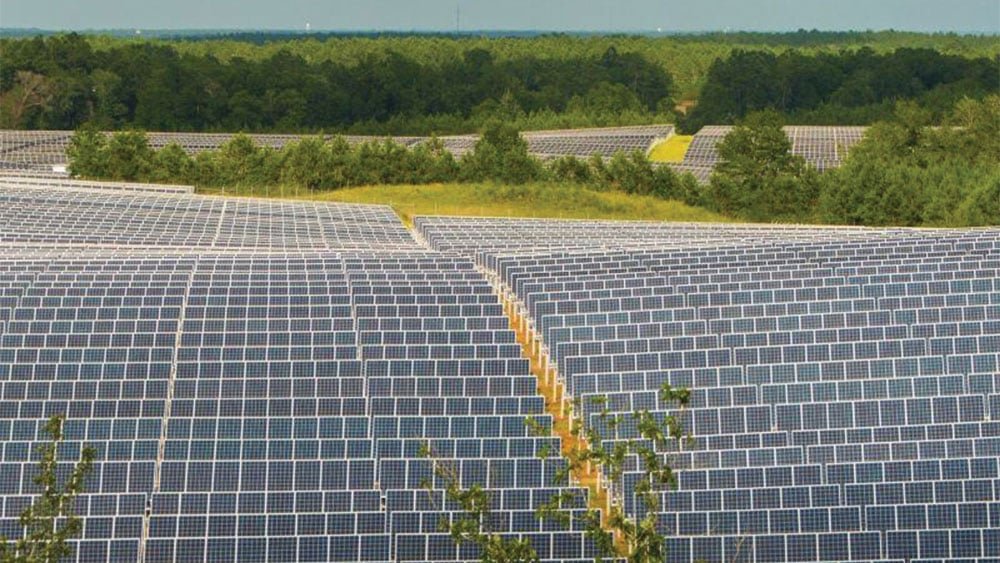 mutual-funds-load-up-on-nextracker-stock-and-an-electronics-play