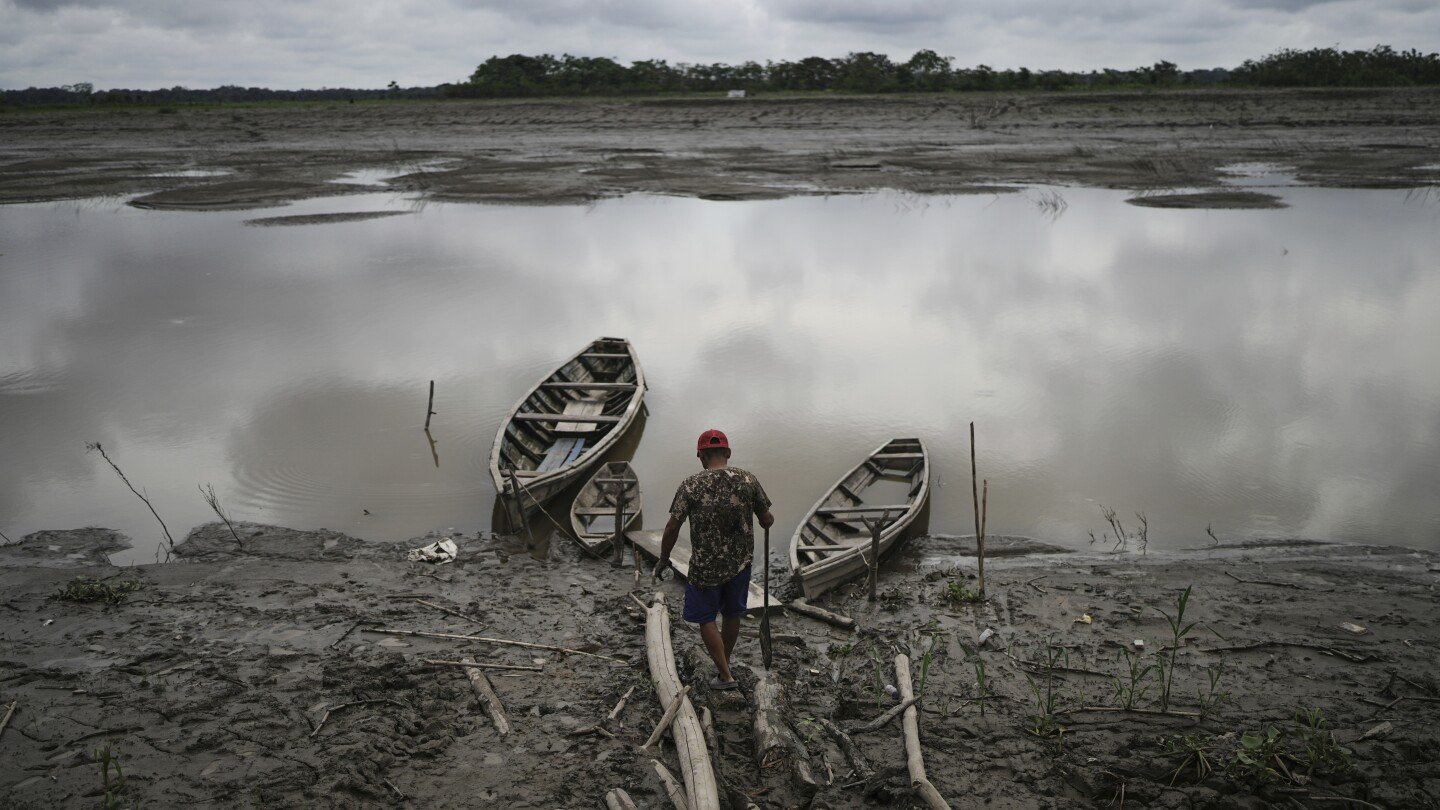 well-preserved-amazon-rainforest-on-indigenous-lands-can-protect-people-from-diseases,-study-finds