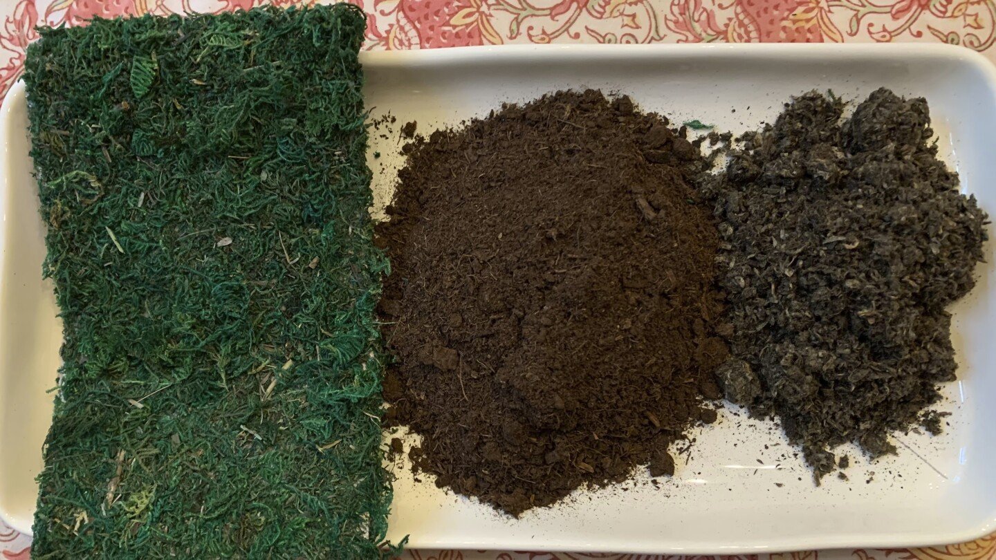 transform-your-houseplants-into-art-with-this-japanese-gardening-technique