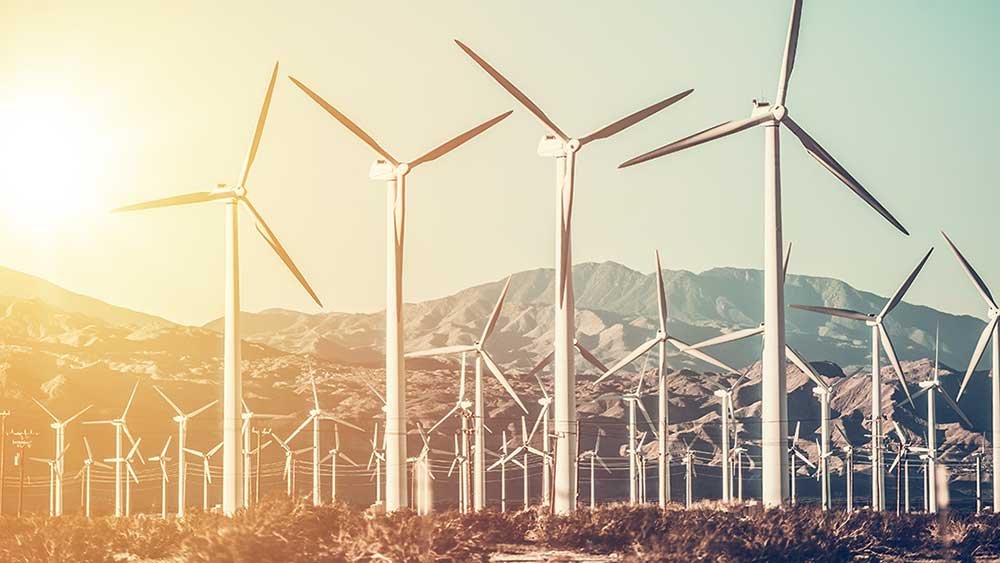 this-clean-energy-stock-is-near-a-high-after-quadrupling