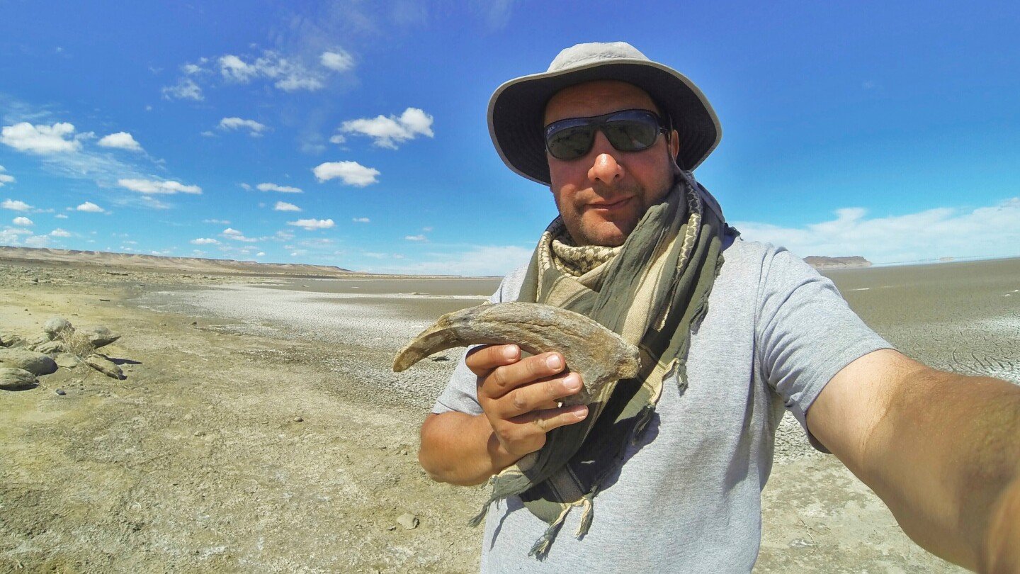 cientificos-descubren-dinosaurio-en-argentina-con-poderosas-garras