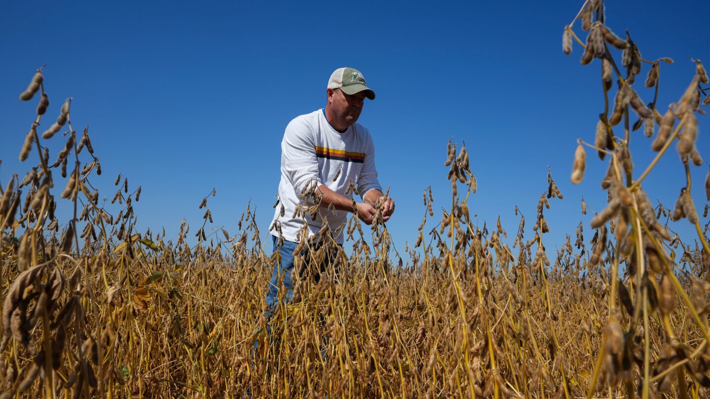 trump’s-trade-battle-with-china-puts-us-soybean-farmers-in-peril