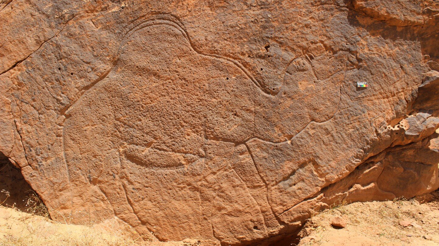 scientists-find-ancient-life-size-animal-rock-carvings-in-the-saudi-arabian-desert