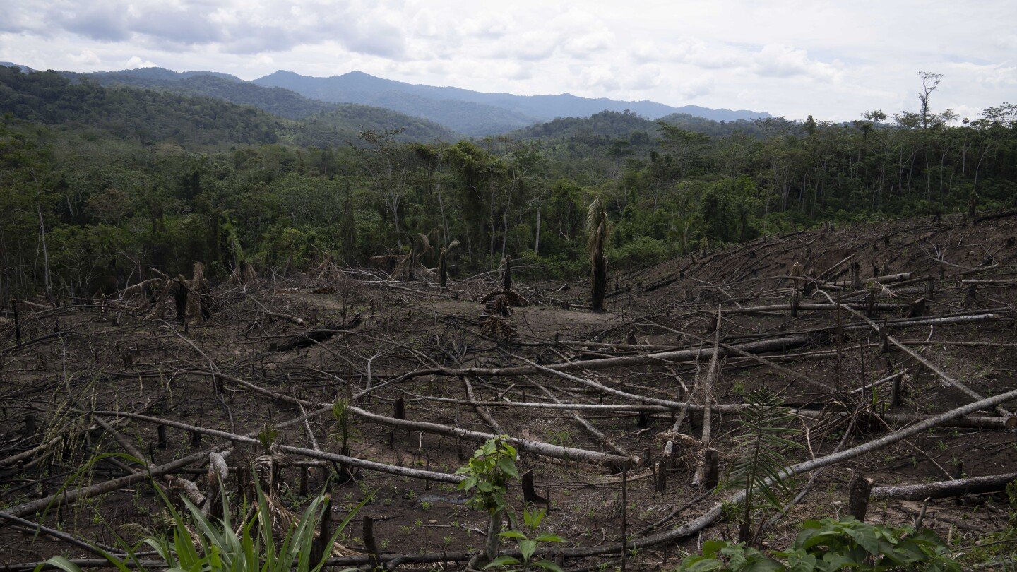 as-amazon’s-‘flying-rivers’-weaken-with-tree-loss,-scientists-warn-of-worsening-droughts