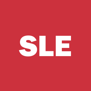 Stock SLE logo