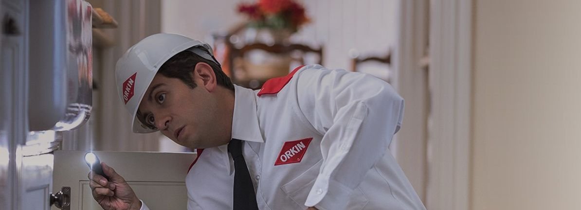 rollins-(rol):-evaluating-valuation-after-fresh-jpmorgan-analyst-coverage-highlights-growth-and-expansion