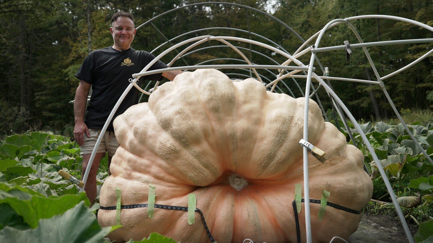 how-to-grow-a-giant-pumpkin,-with-help-from-science