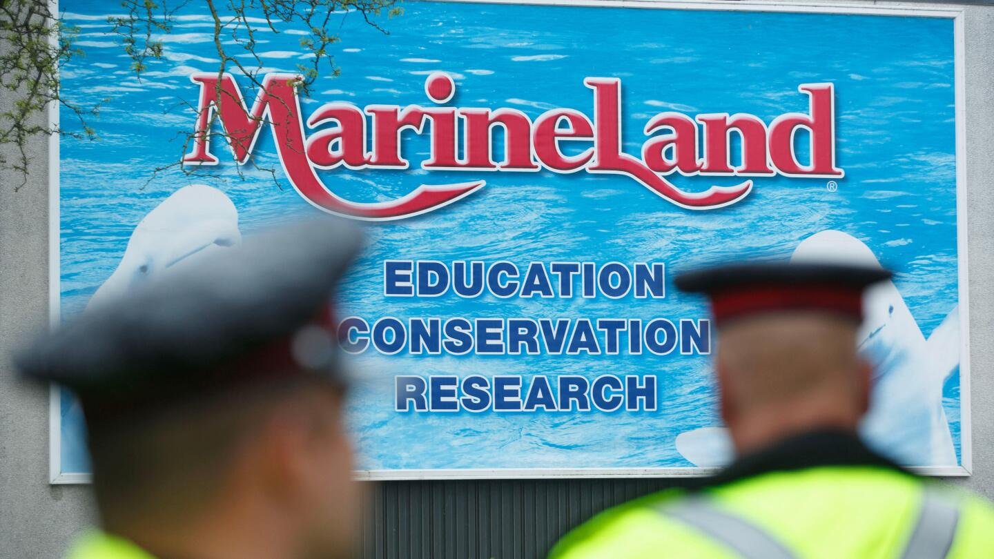 marineland-asks-canadian-government-for-emergency-cash-to-feed-whales