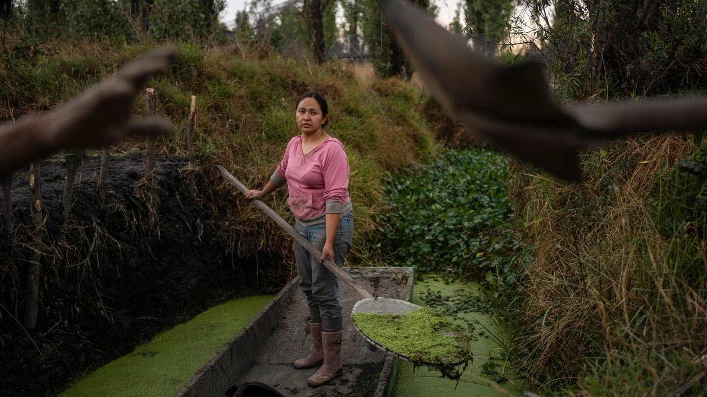 in-mexico,-women-didn’t-traditionally-inherit-island-farms.-now-some-are-determined-to-protect-them