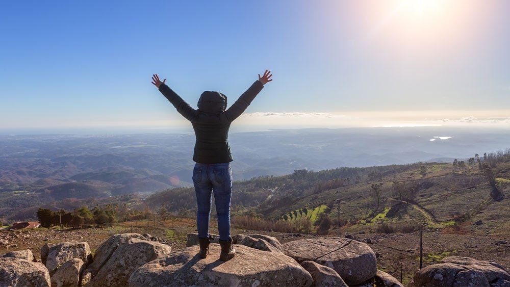 market-pauses;-palantir,-netflix,-oracle-near-buy-points