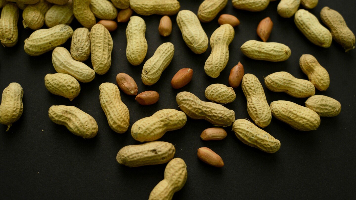 advice-to-feed-babies-peanuts-early-and-often-helped-60,000-kids-avoid-allergies,-study-finds