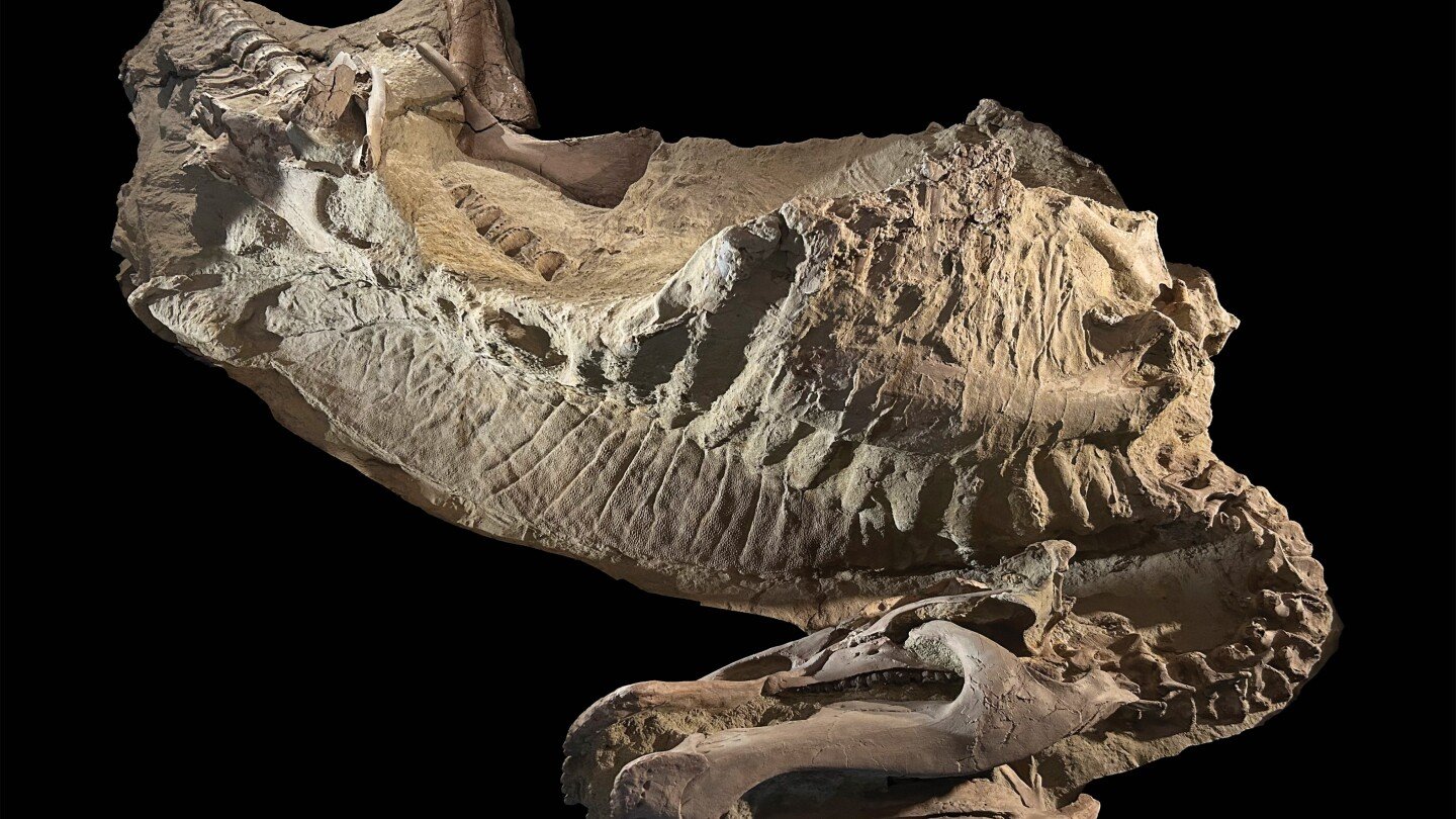 rare-dinosaur-mummies-help-scientists-recreate-their-prehistoric-lives