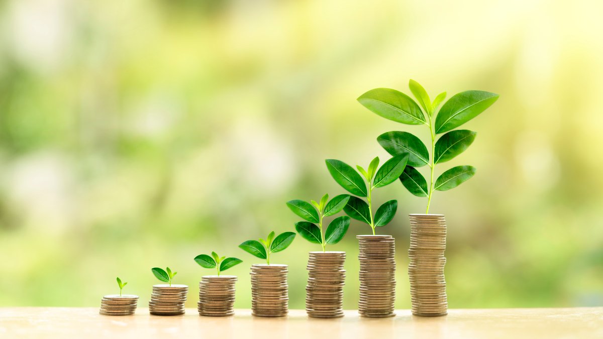 Stacks of coins sprouting increasingly taller plants, showcasing the concept of dividend and wealth potential in the stock market. 