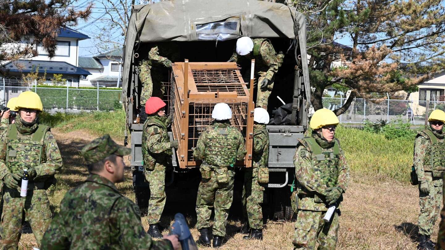 japan-sends-troops-to-northern-region-to-help-stop-bear-attacks-after-a-record-number-of-casualties