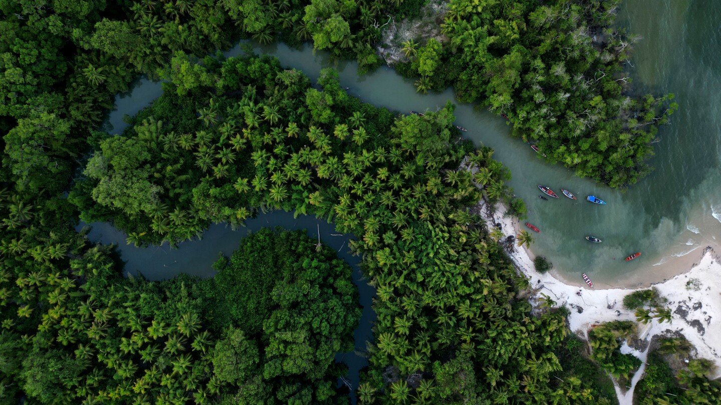 brazil-stumps-up-billions-of-dollars-for-its-ambitious-rainforest-fund-at-un-climate-summit