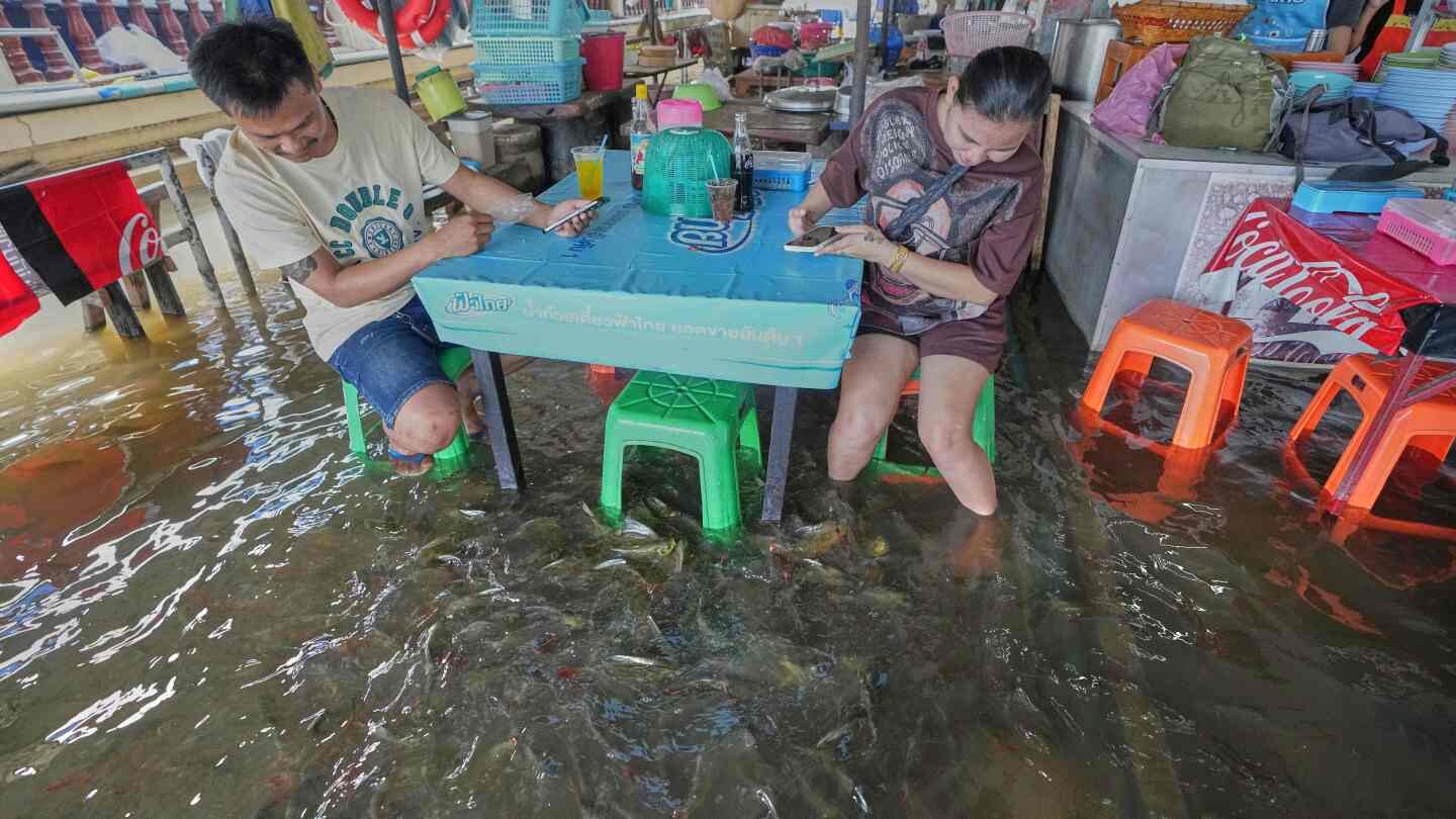 a-flooded-restaurant-in-thailand-brings-delight-with-swimming-fish-among-diners
