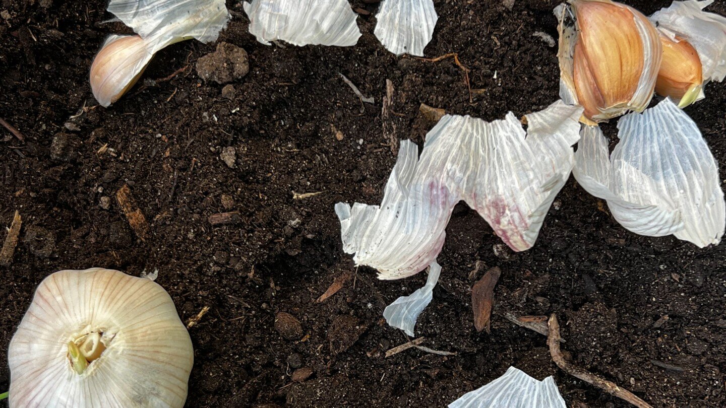 doing-these-fall-garden-chores-will-make-your-spring-easier