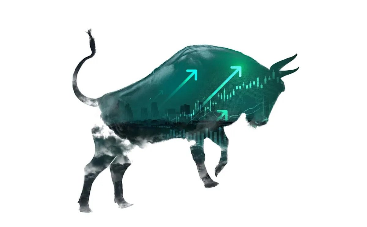 stock-market-live-november-20:-s&p-500-(voo)-surges-on-strong-jobs,-nvidia-reports