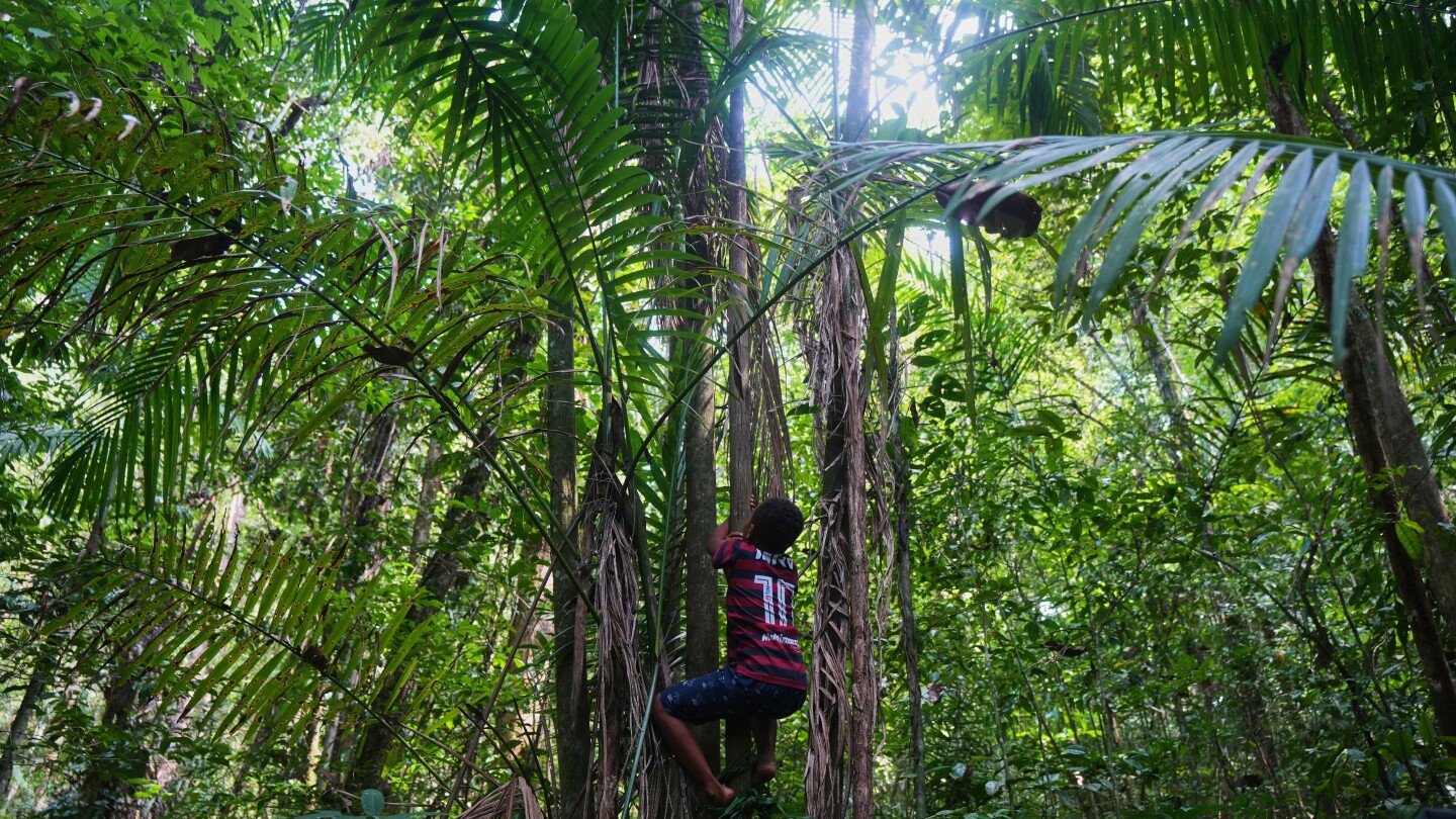 communities-of-slave-descendants-in-brazil-demand-recognition-of-territories