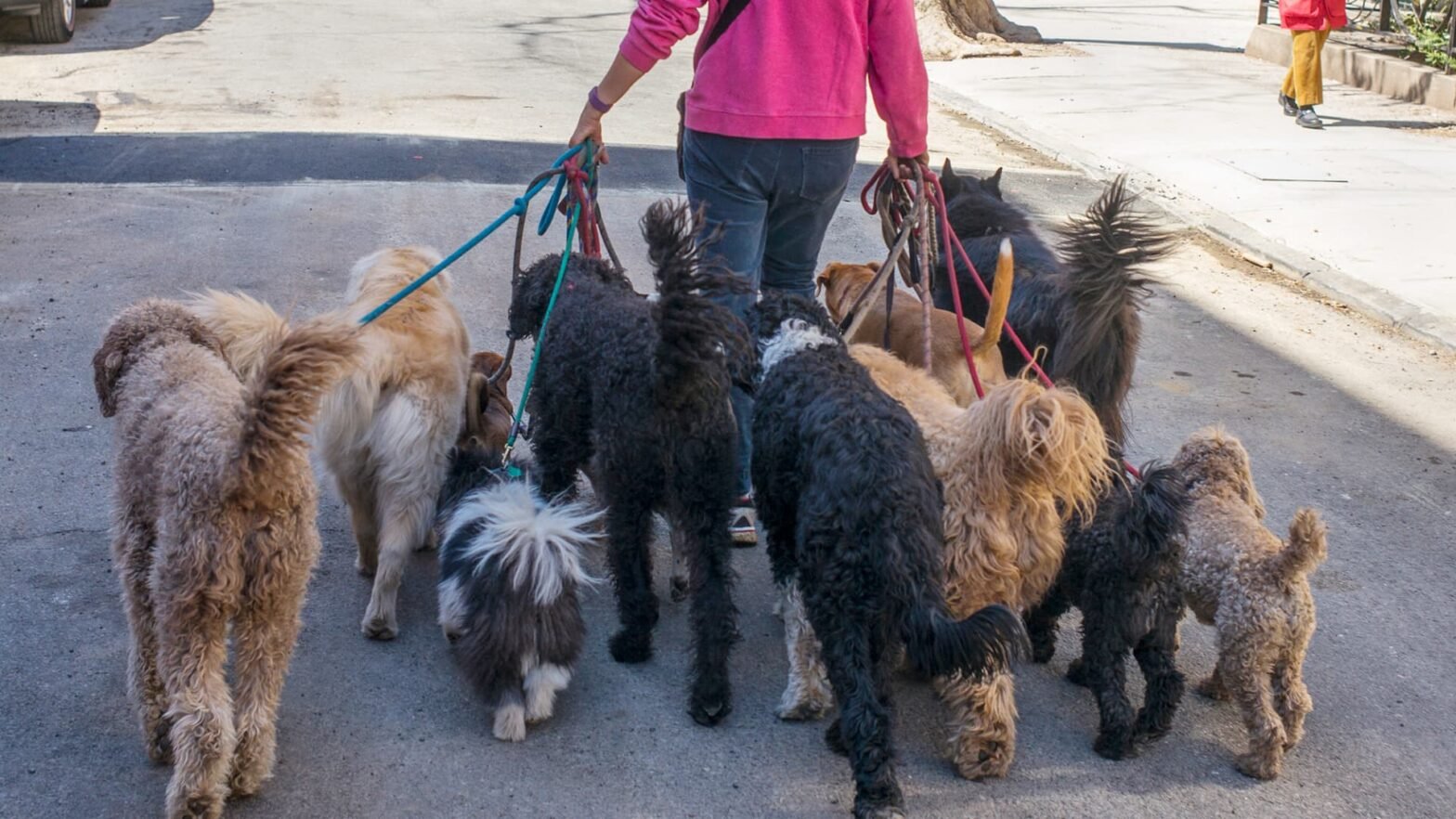 global-week-ahead:-which-tail-is-wagging-the-market-dog?