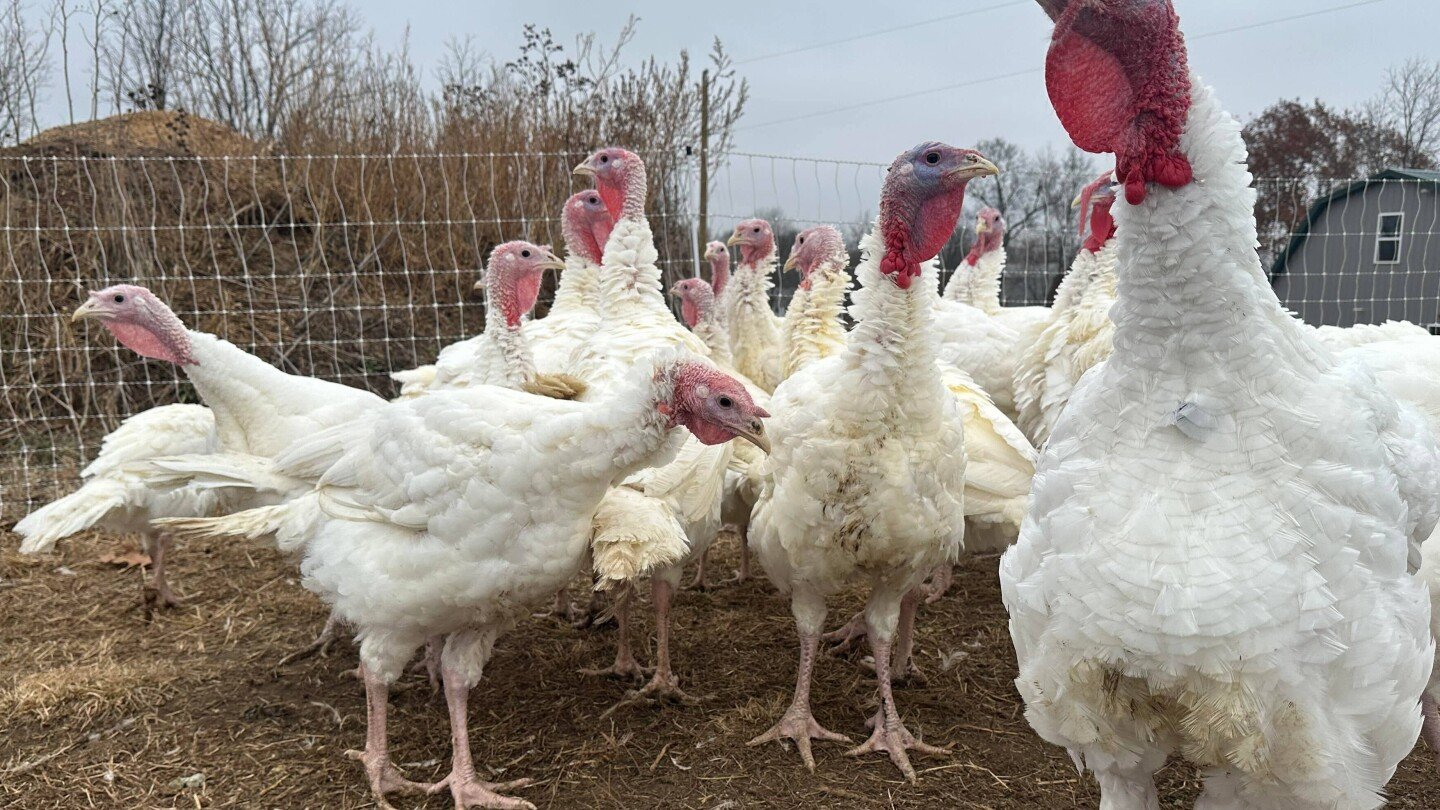 stores-keep-prices-down-in-a-tough-year-for-turkeys.-other-thanksgiving-foods-may-cost-more